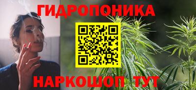 гашик Балахна
