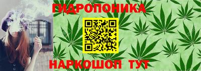 ALPHA PVP Аргун