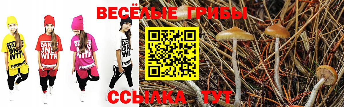 APVP Ачхой-Мартан