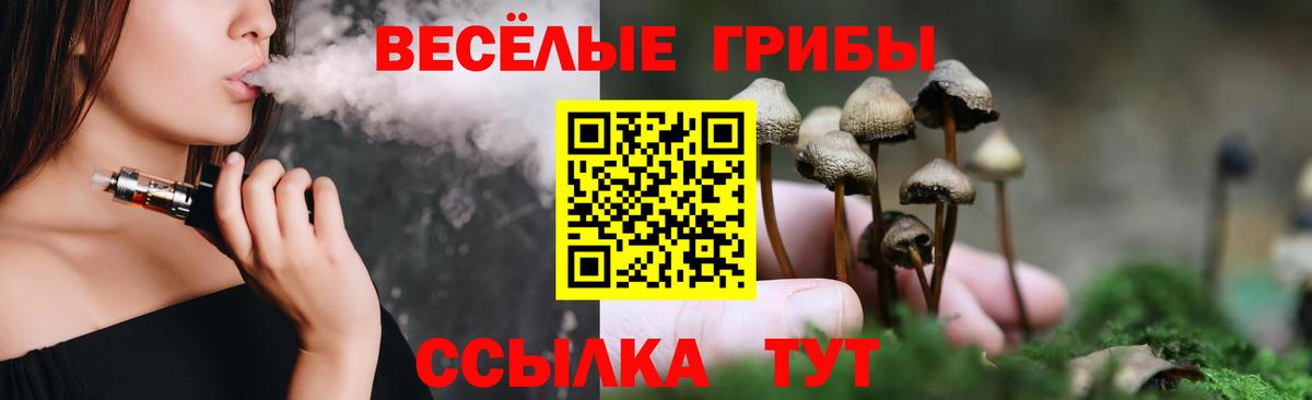 где найти   Псилоцибиновые грибы Magic Shrooms  Вход с VPN  Ачхой-Мартан 